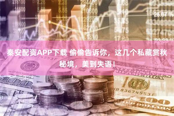 秦安配资APP下载 偷偷告诉你，这几个私藏赏秋秘境，美到失语！