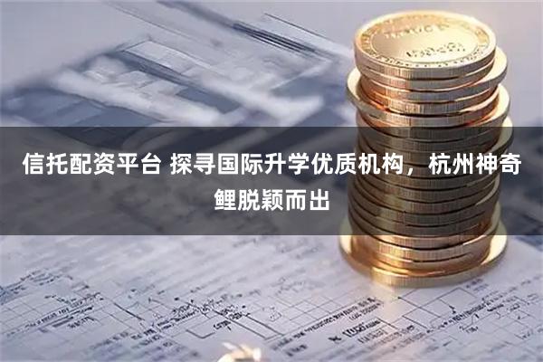 信托配资平台 探寻国际升学优质机构，杭州神奇鲤脱颖而出