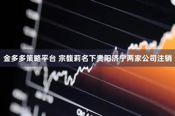金多多策略平台 宗馥莉名下贵阳济宁两家公司注销